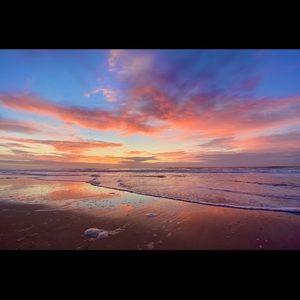 Meet your Posher, Allicyn